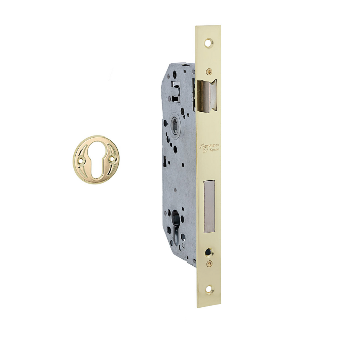 Serrure à encastrer de 50 mm pour cylindre européen, têtière plate avec entraxe de 85 mm, finition doré brillant